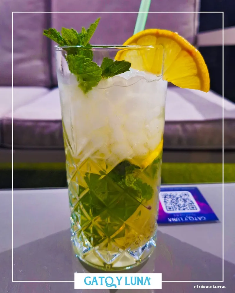 Gato y Luna - Secret Garden