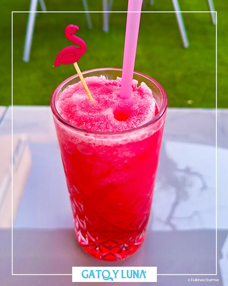 Gato y Luna - Secret Garden