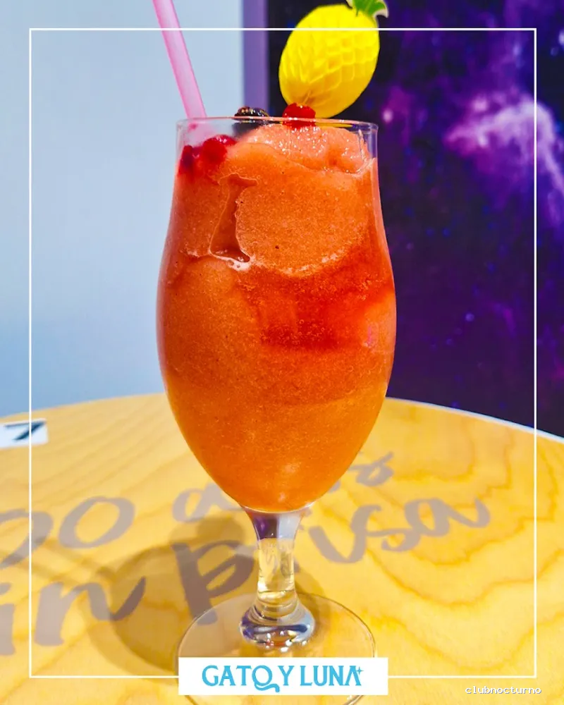 Gato y Luna - Secret Garden