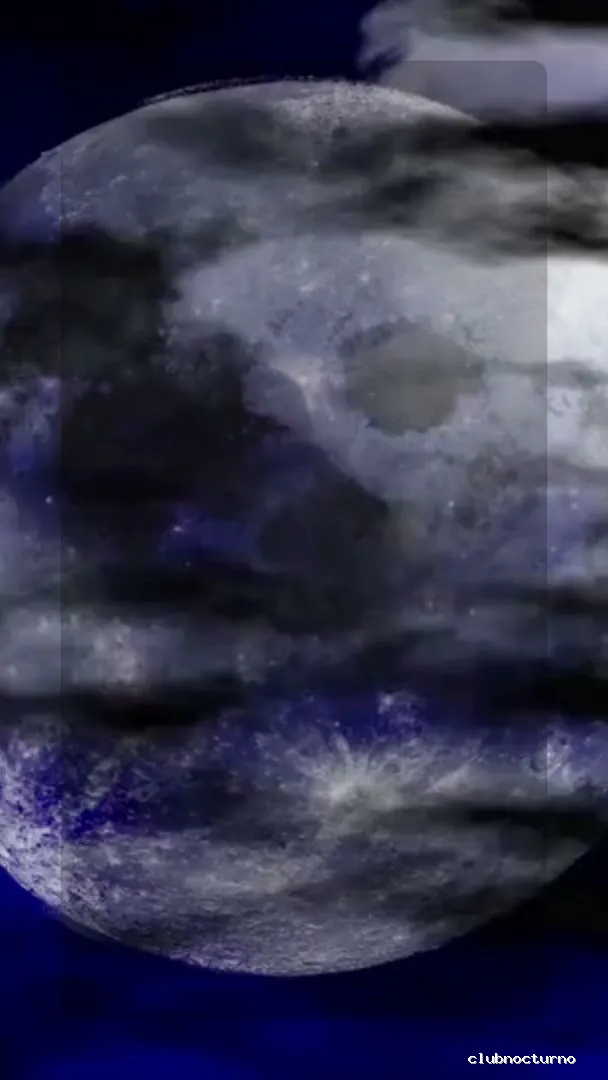 Gato y Luna - Secret Garden