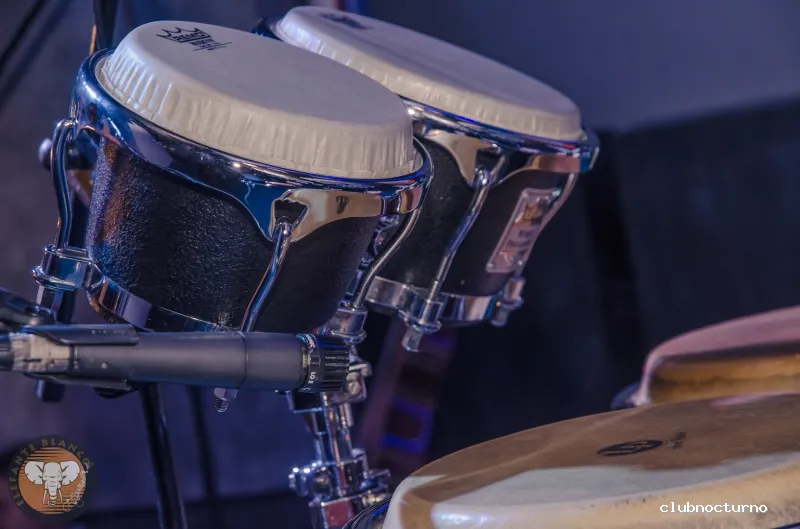 Discoteca Elefante Blanco Madrid