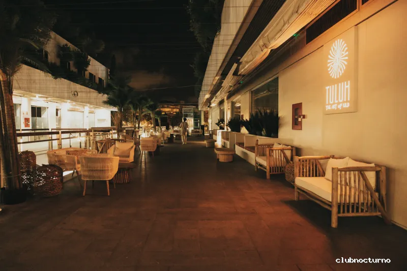 Tulum Valencia Art of Wild