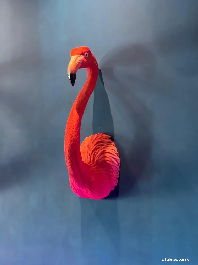 Volare Room Marbella