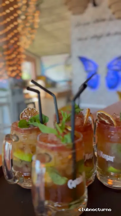 Pub The Butterfly Beach Club