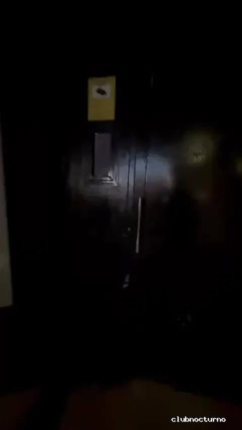 Level DiscoPub Guadalajara