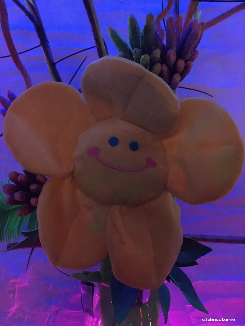 Sala Divino Matalascañas