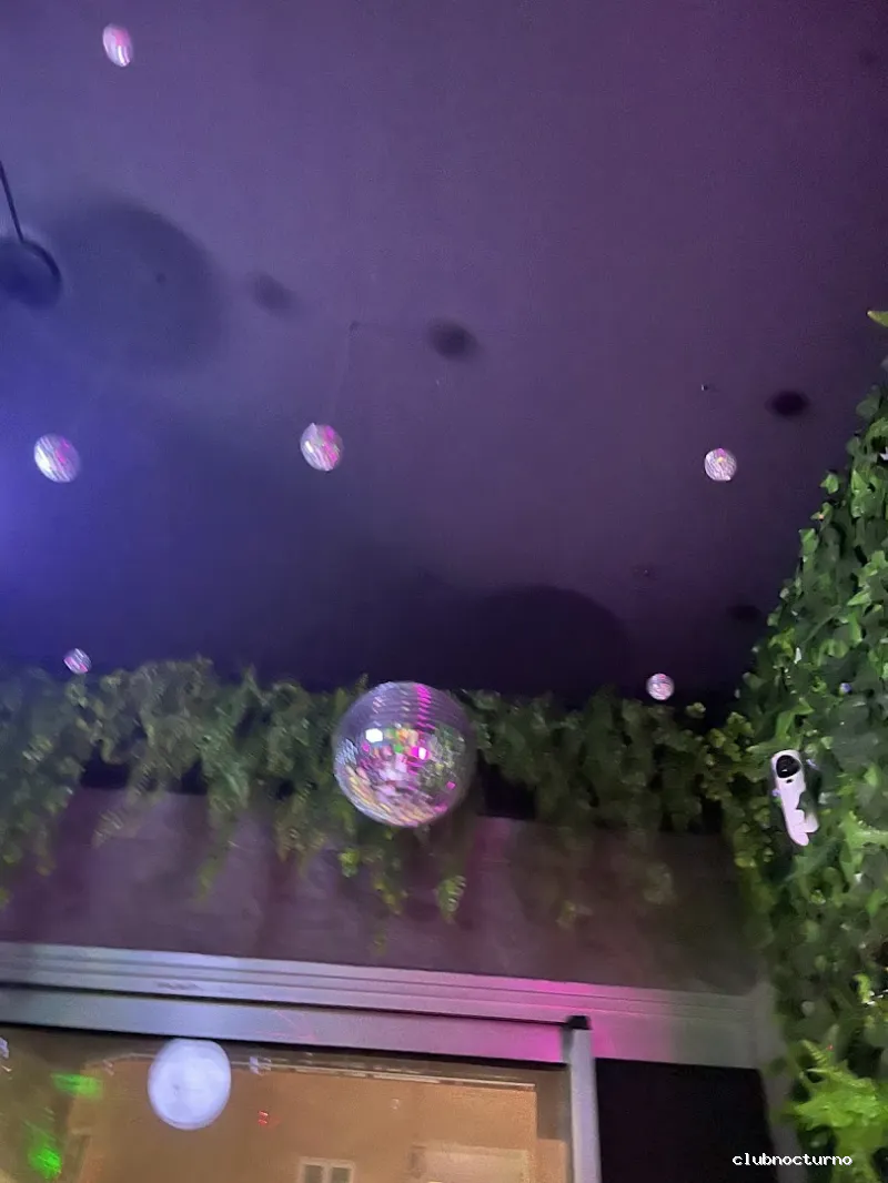 The Jungle Gay Bar Fuerteventura