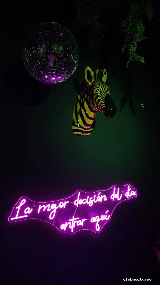 The Jungle Gay Bar Fuerteventura