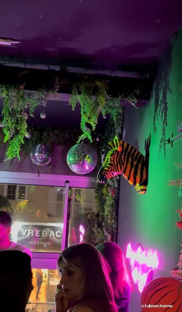 The Jungle Gay Bar Fuerteventura