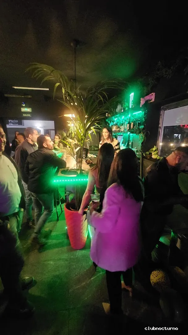 The Jungle Gay Bar Fuerteventura