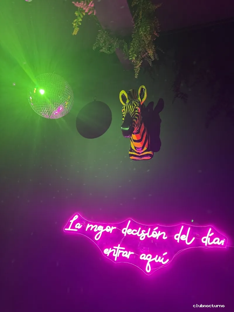 The Jungle Gay Bar Fuerteventura