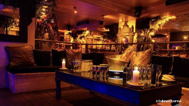 Funky Buddha Puerto Banús