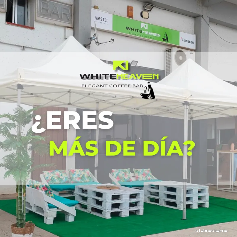 White Heaven Elegant Coffee Bar