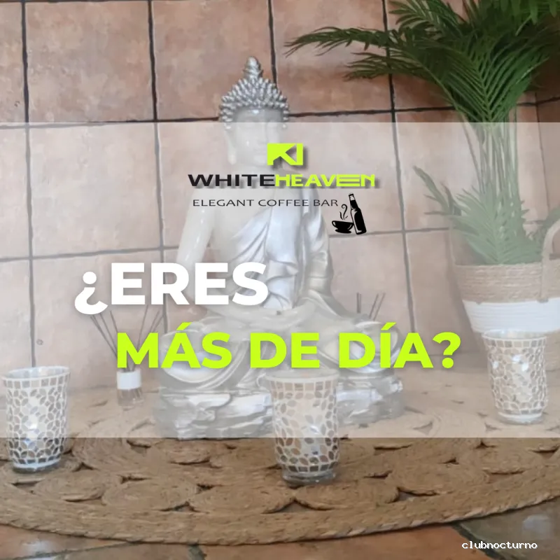 White Heaven Elegant Coffee Bar