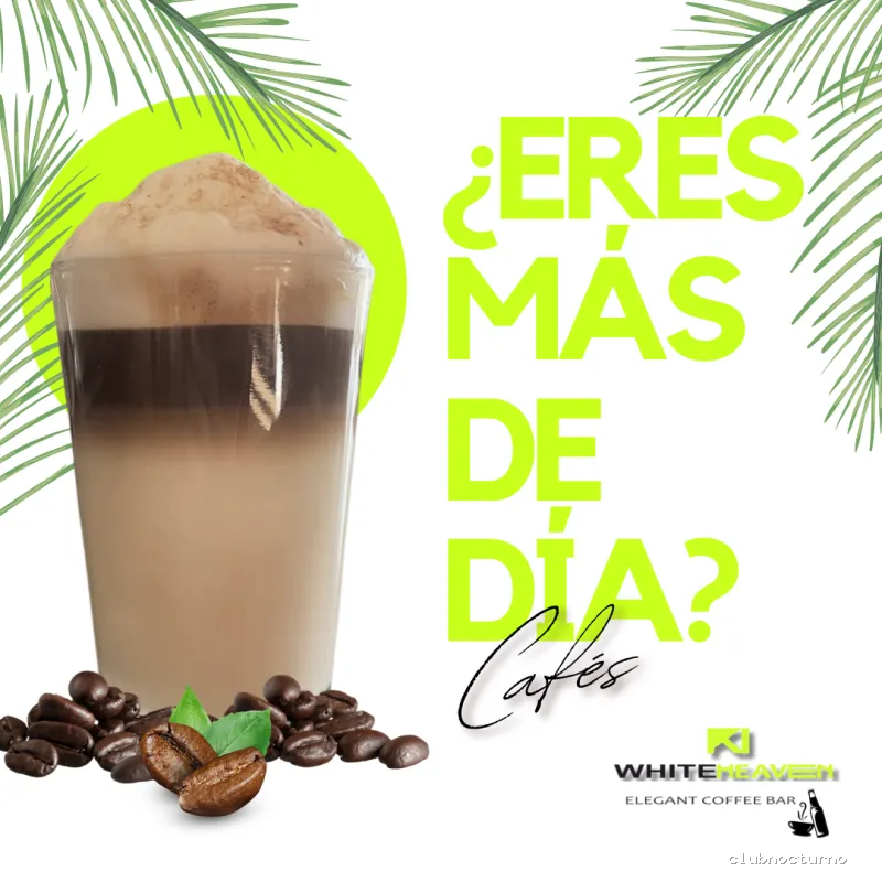 White Heaven Elegant Coffee Bar