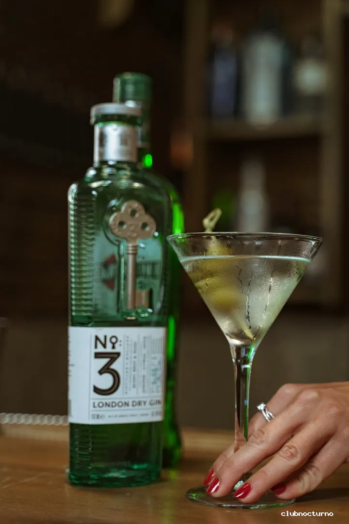 Ruta de la Seda Gin & Cóctel Premium Club