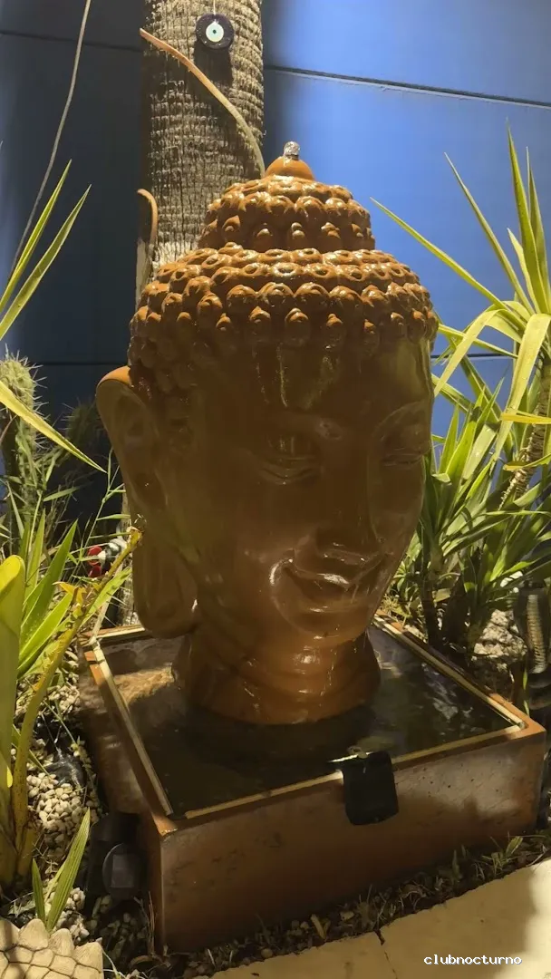 Terraza de verano Puerto Moi