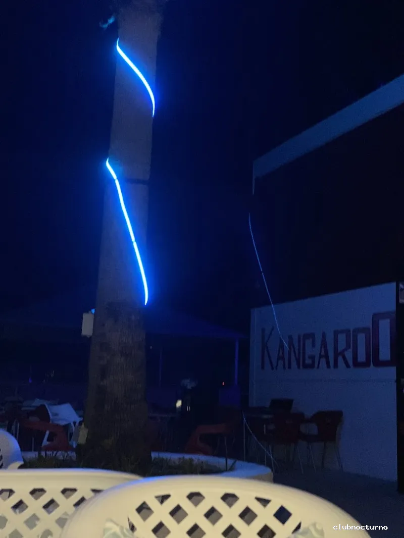 Terraza de verano Puerto Moi