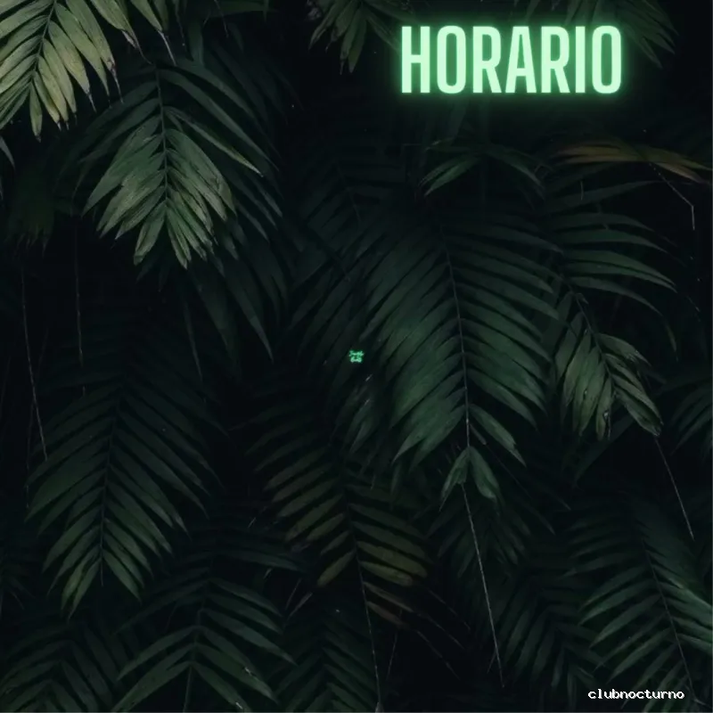 El Kubata de Hojalata