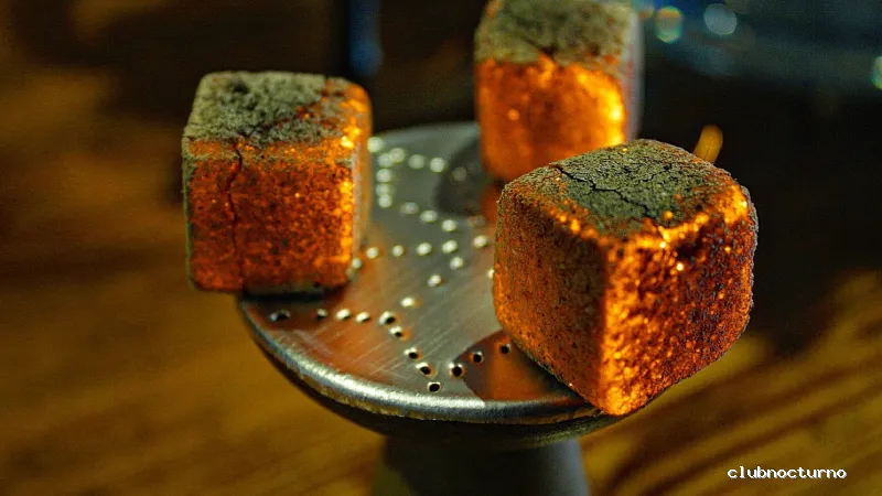 Wild Mafi Hookah Lounge