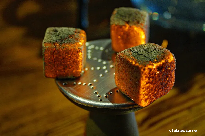 Wild Mafi Hookah Lounge