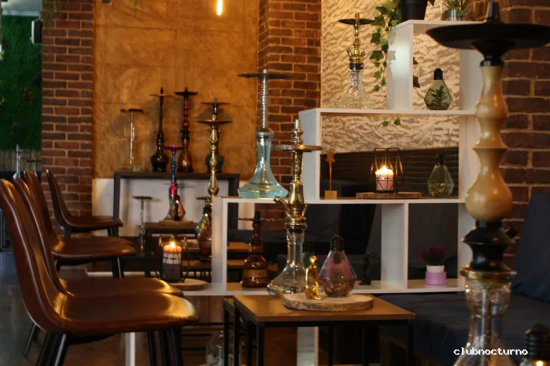 Wild Mafi Hookah Lounge