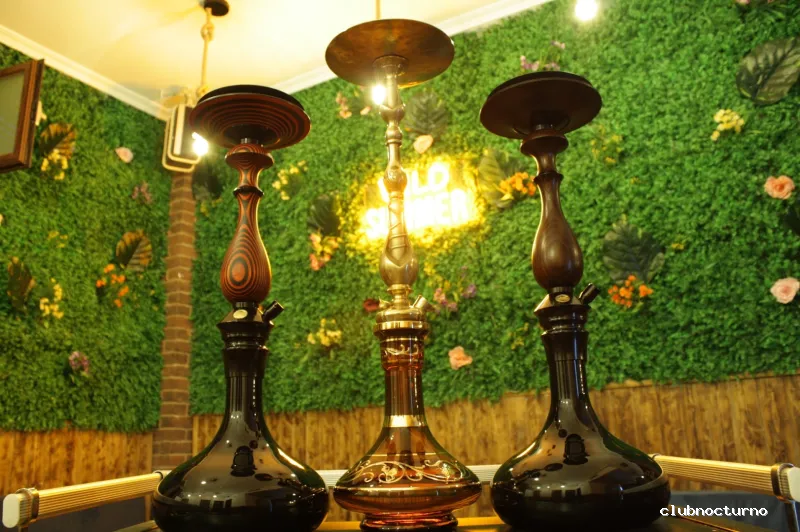 Wild Mafi Hookah Lounge