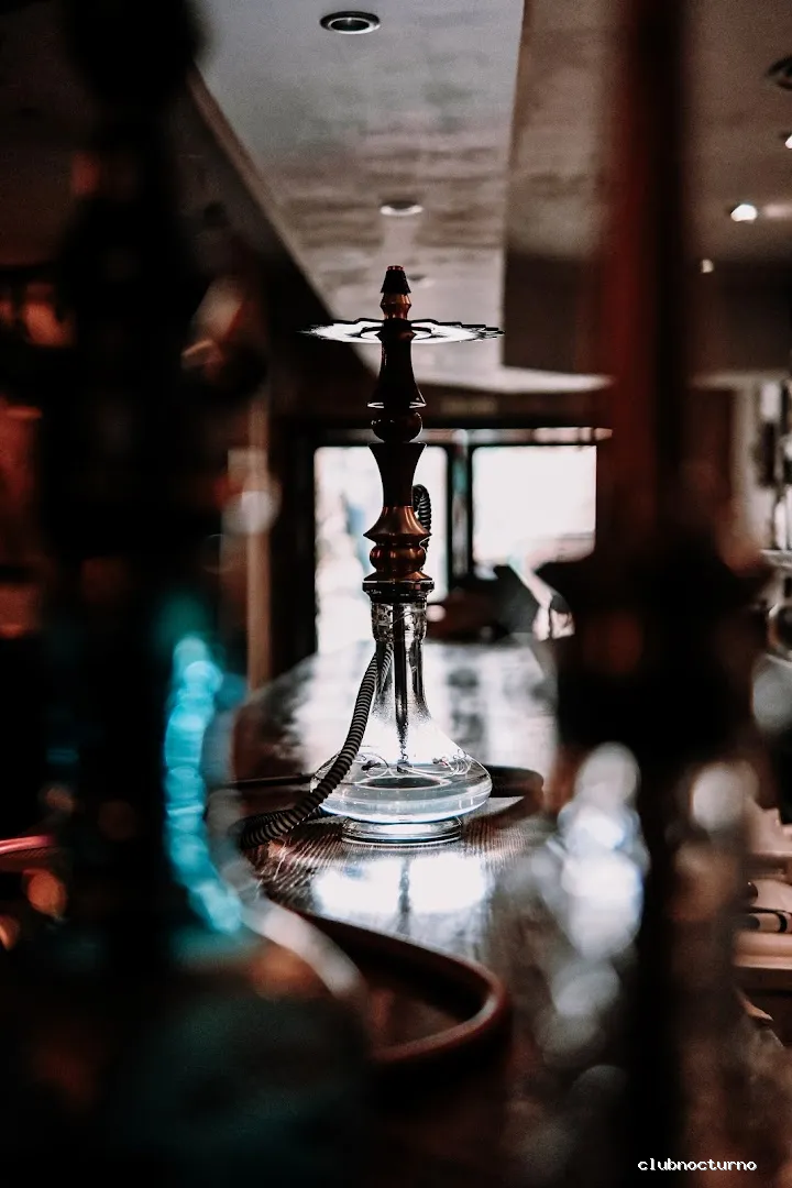 Wild Mafi Hookah Lounge