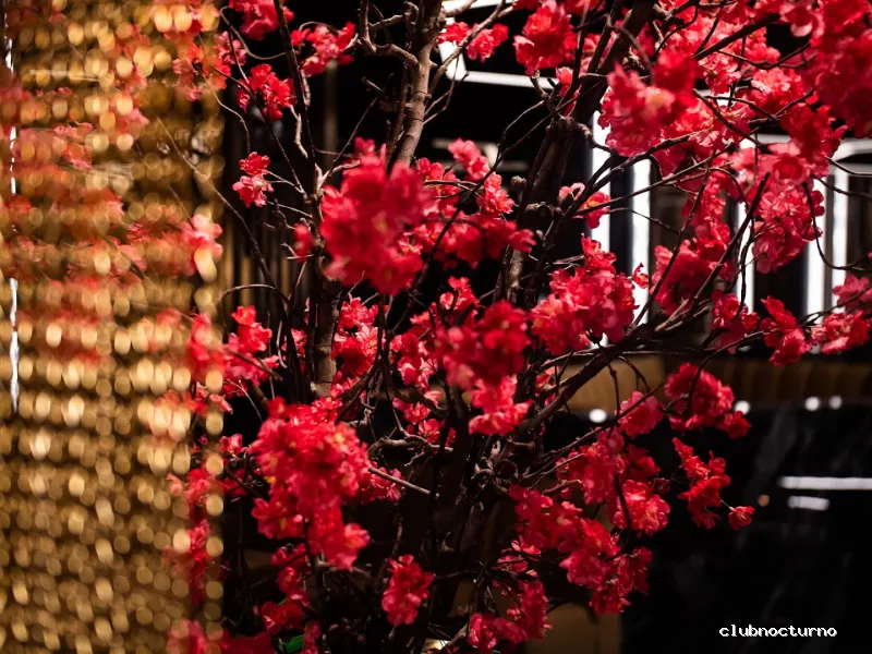 The Secret Garden Restaurant & Lounge Club