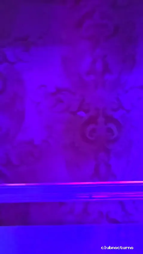 Discoteca Lemon Prive Calella