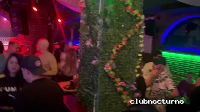 Warare Discoteca Latina