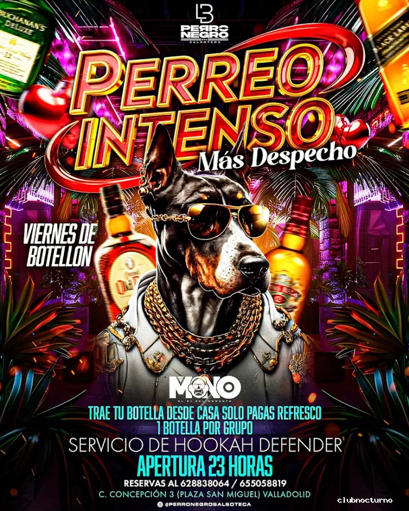 Salsoteca Perro Negro