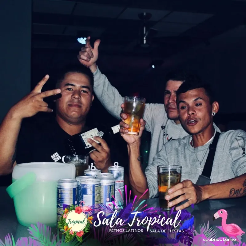 Sala Tropical 🦩