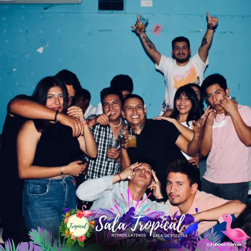 Sala Tropical 🦩