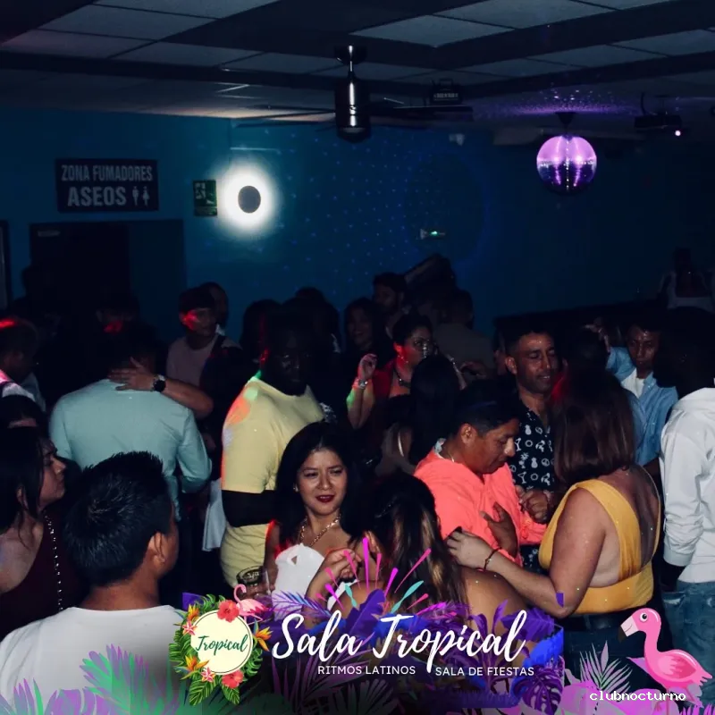 Sala Tropical 🦩