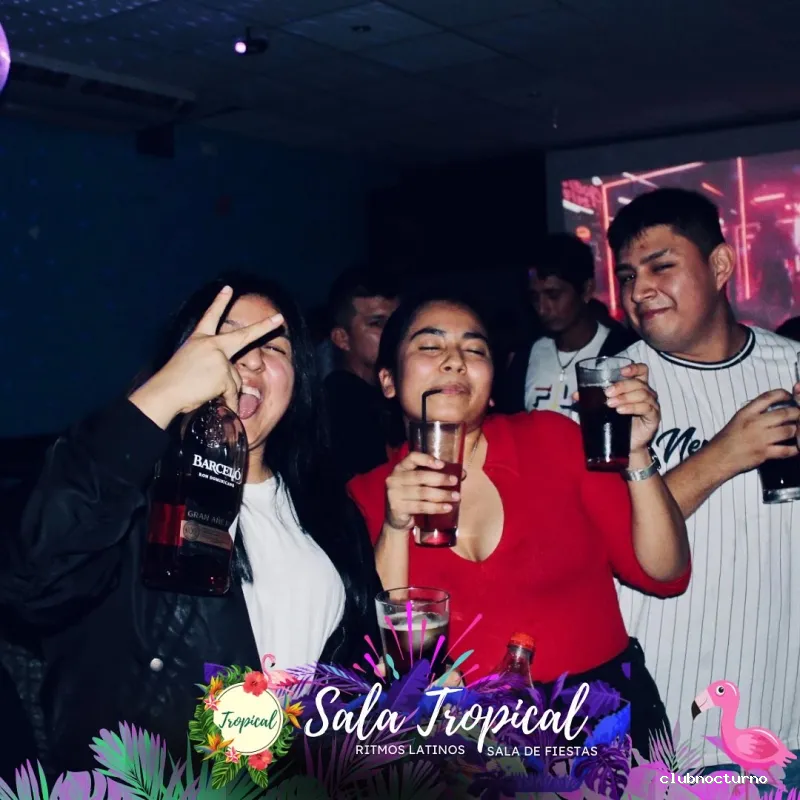 Sala Tropical 🦩