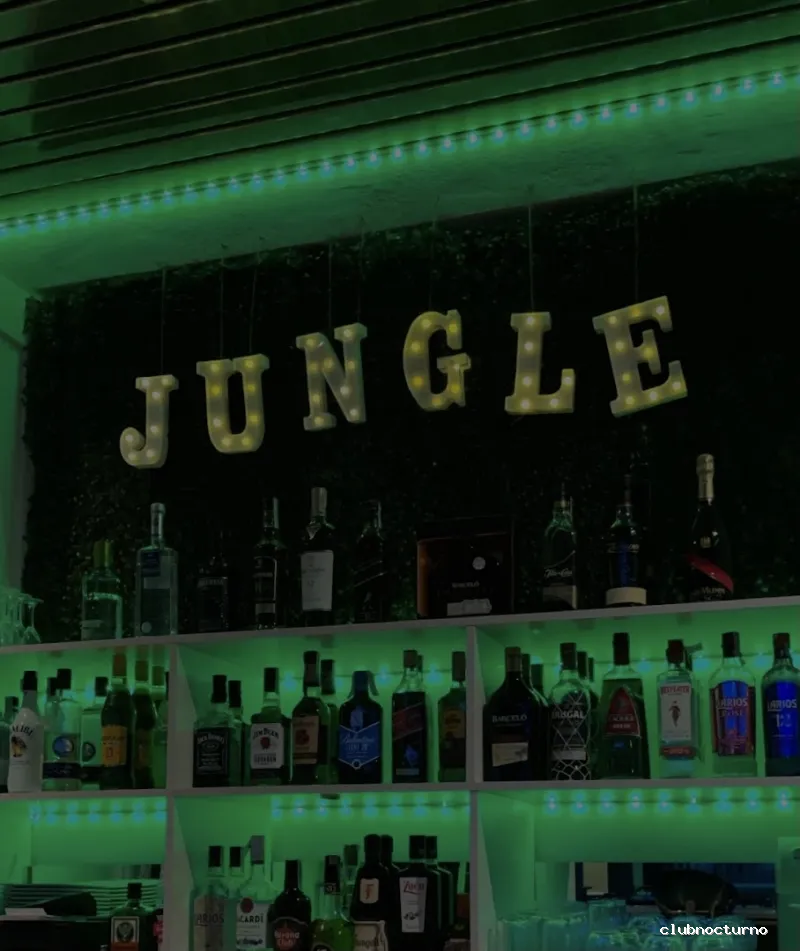 Jungle Lounge Bar