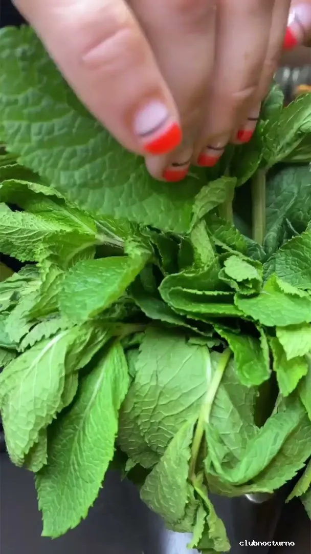 𝗣𝘂𝗯 𝗠𝗲𝗿𝗮𝗸𝘆