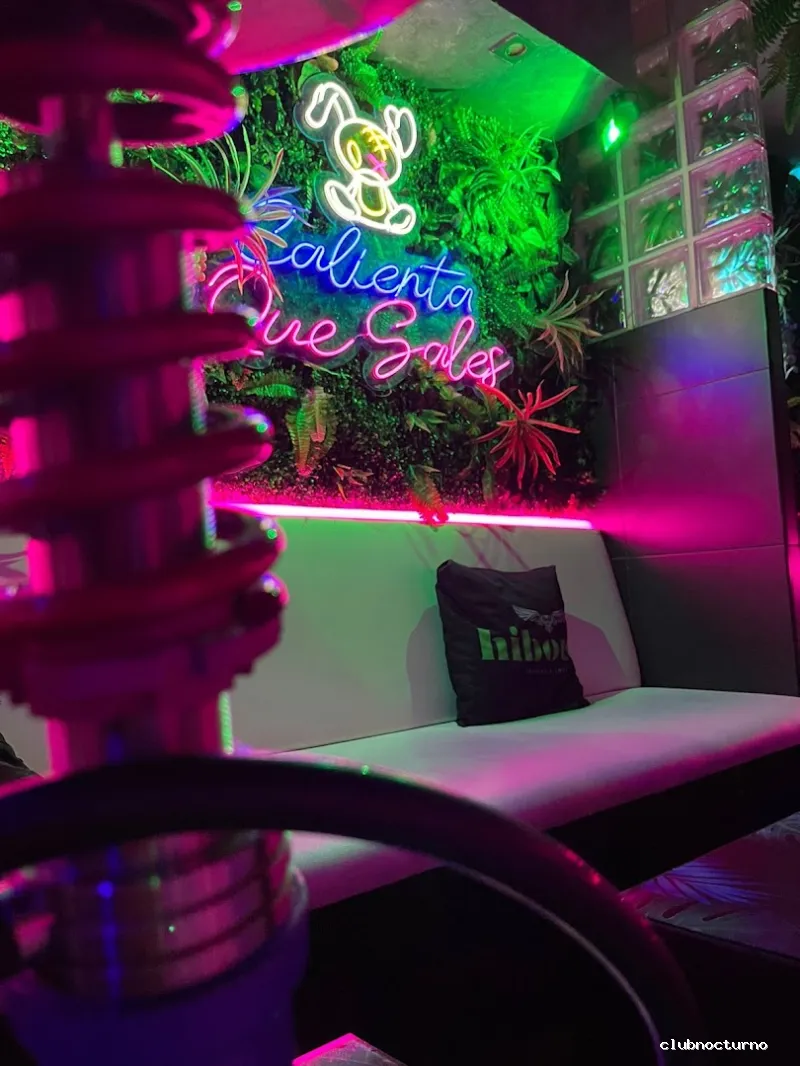 Hibou Shishas & Cocktails