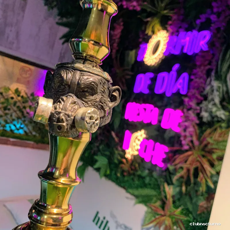 Hibou Shishas & Cocktails