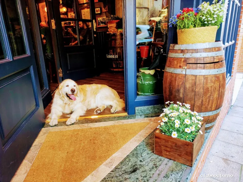 L'esperteyu Pub- Cervecería