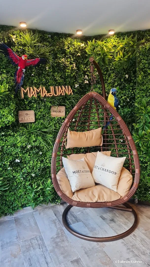 Mamajuana Drinks Music