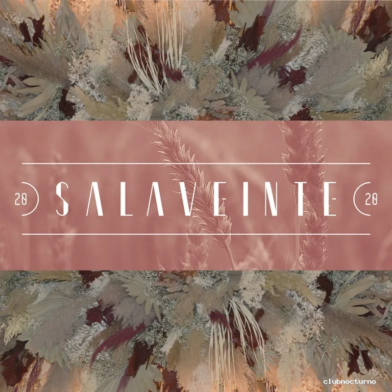 Salaveinte