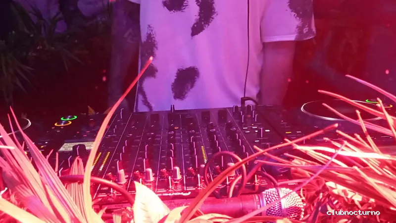 Zar Society - Discoteca en Palma de Mallorca