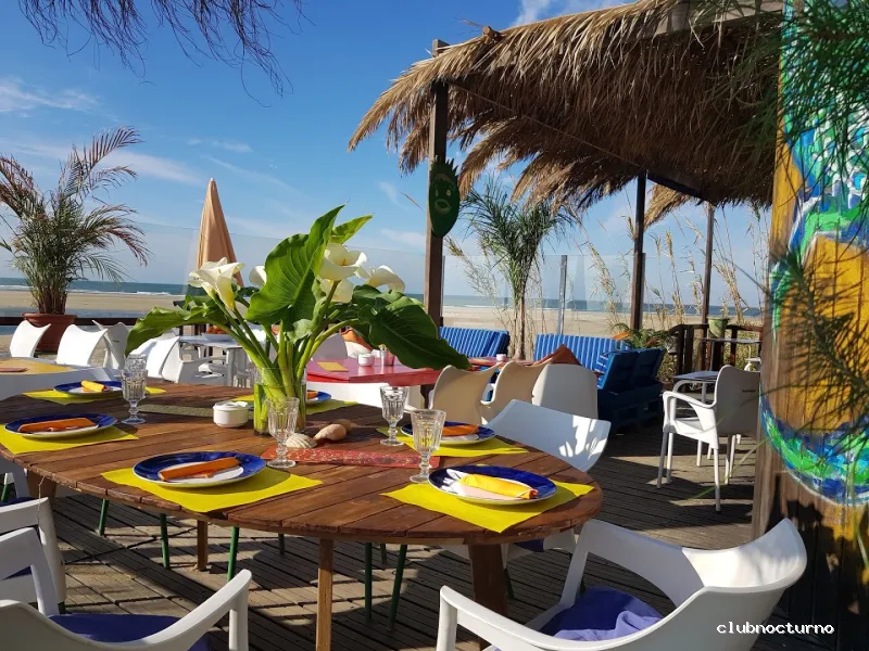 Chiringuito Playa Alta