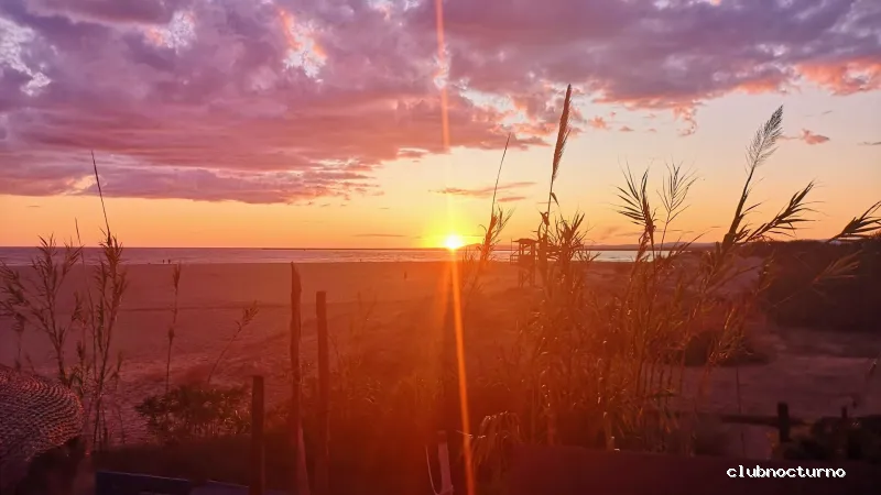 Chiringuito Playa Alta