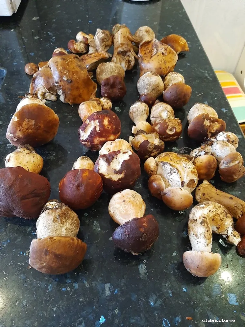 Cervecería Abend en Lasarte-Oria