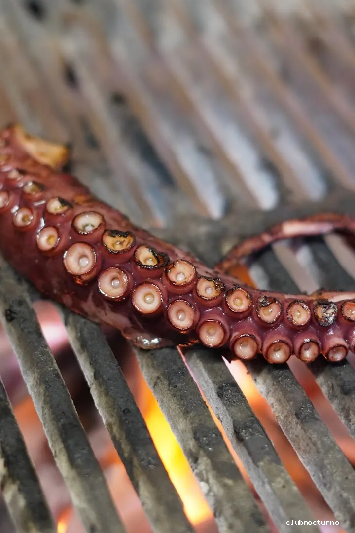 Artemisa Moulin Lounge | Restaurante con espectáculo Madrid