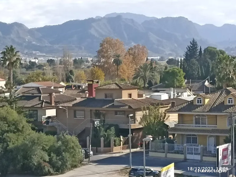 ATYPICO PUENTE TOCINOS