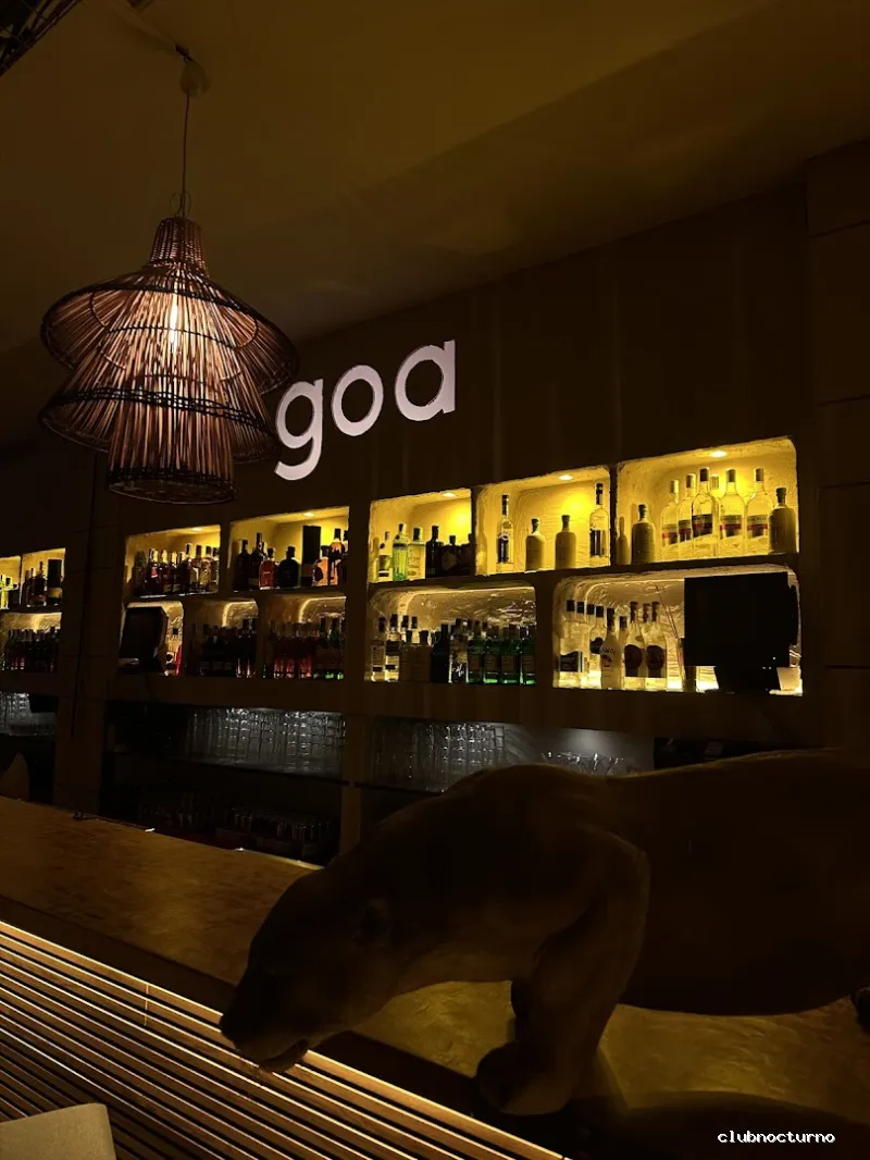 Goa Club discoteca